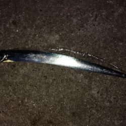 ミスバイト多発